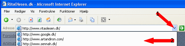 Oversigten over besgte sider kan ses f.eks. ved at klikke p den lille pil til hjre for adresselinjen